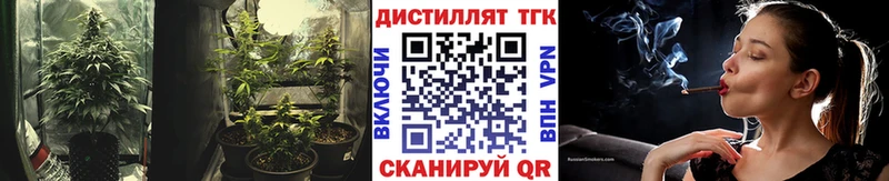 Дистиллят ТГК THC oil  Бакал 